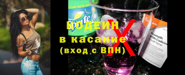 сатива Пересвет
