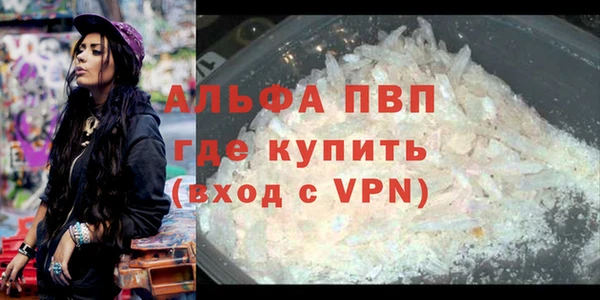 сатива Пересвет